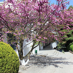 Пансионат Зенит, Крым