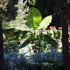 Пансионат Зенит, Крым