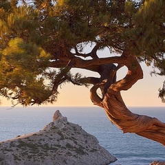 Пансионат Зенит, Крым