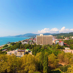 Пансионат Дельфин, Адлер, Краснодарский край