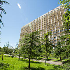 Пансионат Фрегат, Адлер, Краснодарский край