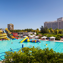 Пансионат Дельфин, Адлер, Краснодарский край