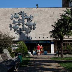 Санаторий Коралл, Адлер, Краснодарский край