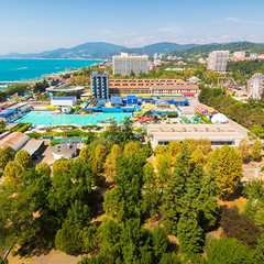 Пансионат Дельфин, Адлер, Краснодарский край