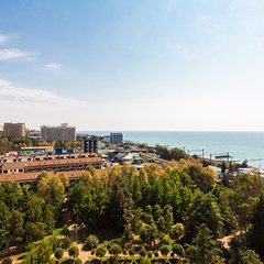 Пансионат Дельфин, Адлер, Краснодарский край