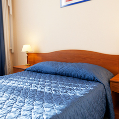 Гостиница Максима Ирбис, Москва, Московская область