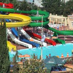 Пансионат Дельфин, Адлер, Краснодарский край