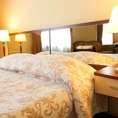 Гостиница Максима Ирбис, Москва, Московская область