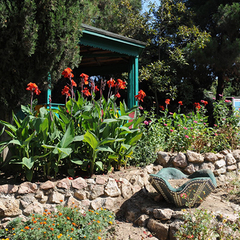 Санаторий им.Мокроусова ТОК, Учкуевка, Крым