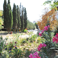 Санаторий им.Мокроусова ТОК, Учкуевка, Крым