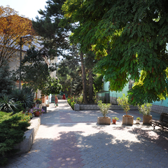 Санаторий им.Мокроусова ТОК, Учкуевка, Крым