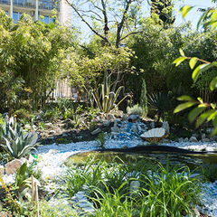 Пансионат Фрегат, Адлер, Краснодарский край