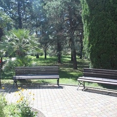 Пансионат Фрегат, Адлер, Краснодарский край