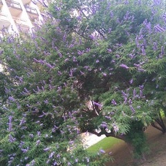 Пансионат Фрегат, Адлер, Краснодарский край