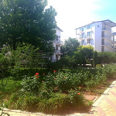 Пансионат Фея 2, Джемете, Краснодарский край