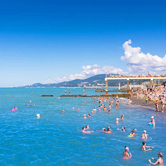 Пансионат Дельфин, Адлер, Краснодарский край