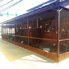 Пансионат Фея 2, Джемете, Краснодарский край