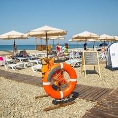 Пансионат Фрегат, Адлер, Краснодарский край