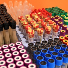 Гостиничный комплекс Новый Свет, Новый Свет, Крым