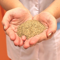 Гостиничный комплекс Новый Свет, Новый Свет, Крым