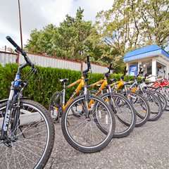 Пансионат Приветливый берег, Геленджик, Краснодарский край