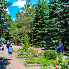 Пансионат Южный, Бетта, Краснодарский край