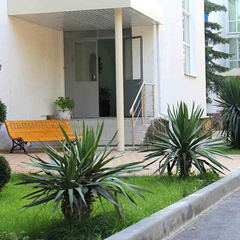 Пансионат Приморский, Дивноморское, Краснодарский край