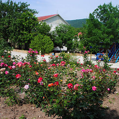 База отдыха Прибой, Новороссийск, Краснодарский край