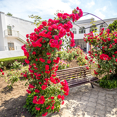 Пансионат Джемете, Джемете, Краснодарский край