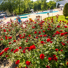 Пансионат Джемете, Джемете, Краснодарский край