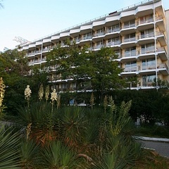 Пансионат Бургас, Сочи, Краснодарский край