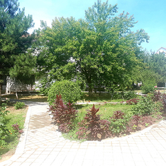 Пансионат Фея 1            , Джемете, Краснодарский край