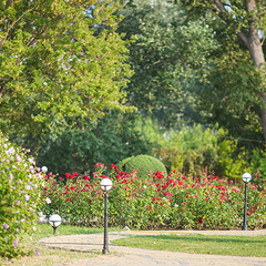 Пансионат Джемете, Джемете, Краснодарский край