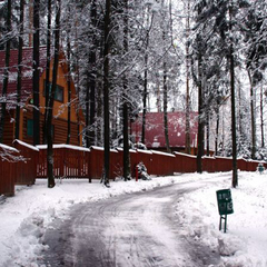 Парк-отель Царский лес, Московская область