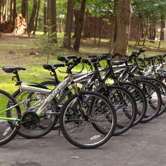 Парк-отель Царский лес, Московская область