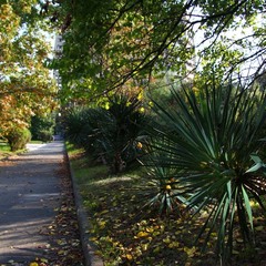 Отель Меридиан, Адлер, Краснодарский край