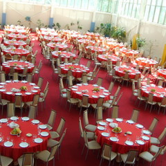 Парк-отель Царский лес, Московская область