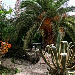 Отель Лазурь, Адлер, Краснодарский край