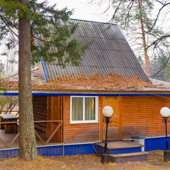 Парк-отель Царский лес, Московская область