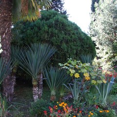 Санаторий СССР , Сочи, Краснодарский край