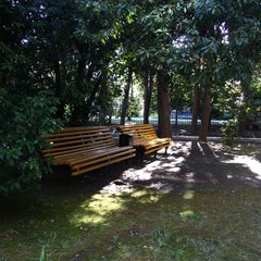 Санаторий СССР , Сочи, Краснодарский край