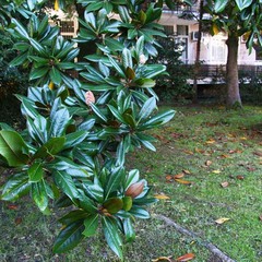 Санаторий СССР , Сочи, Краснодарский край