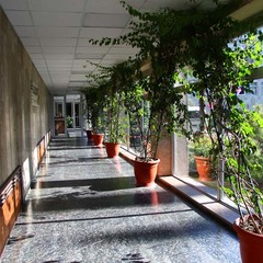 Санаторий СССР , Сочи, Краснодарский край