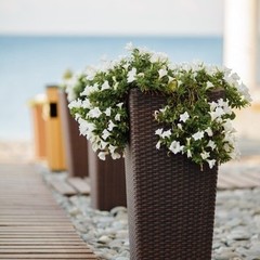 Отель Прометей клуб, Лазаревское, Краснодарский край