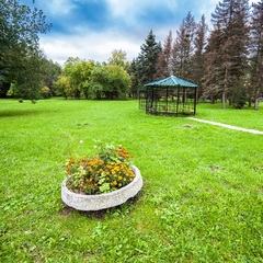 Дом отдыха Подмосковье, Московская область