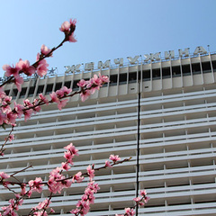 Гостиничный комплекс Жемчужина, Сочи, Краснодарский край