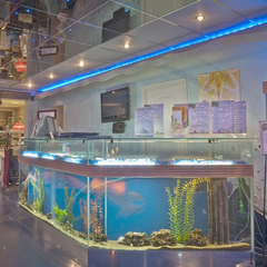 Отель Фореста Фестиваль Парк, Московская область