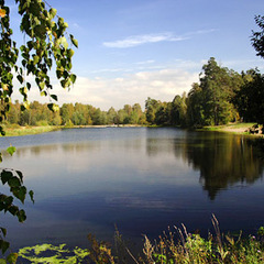 Санаторий Зеленый городок, Московская область