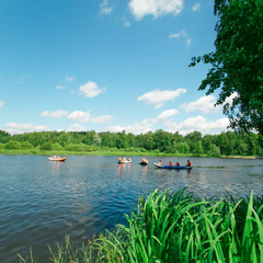Санаторий Зеленый городок, Московская область