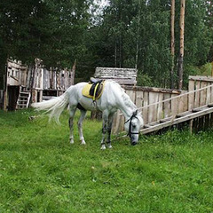 Санаторий Зеленый городок, Московская область